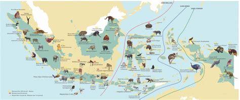 Peta Sebaran Fauna Di Indonesia Imagesee