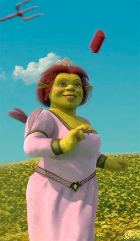 Shrek FionaShrek 2 2004 Movie Tumblr Pics