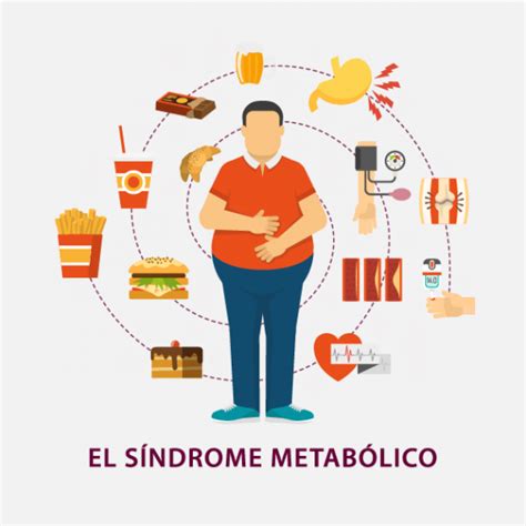 El Síndrome Metabólico Qué es Síntomas y Tratamiento