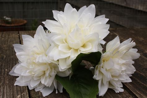 3 X Pale Ivory Silk Dahlia Flowers 10cm Heads On Individual Etsy
