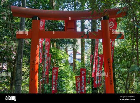 Japanese Torii Gate Of Hodosan Shrinechichibu Nagatoro Saitama Japan