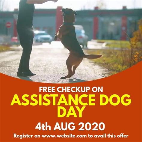 Copia De Assistance Dog Day Postermywall