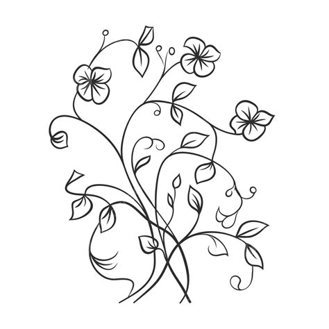 Enredaderas Estilizadas Para Flores Aisladas Con Un Dibujo De Boceto De