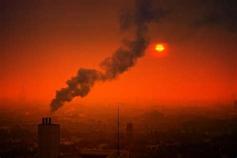 air pollution particles inhaled by pregnant women can reach in the womb science times