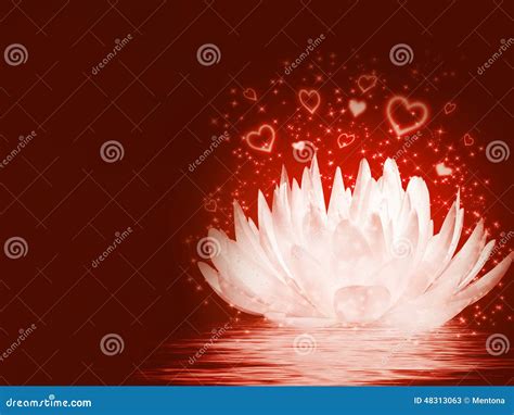 Magical Lotus Flower Stock Illustration Illustration Of Beautiful