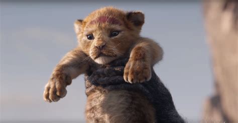 See Simbas Introduction In First Teaser For Live Action ‘lion King
