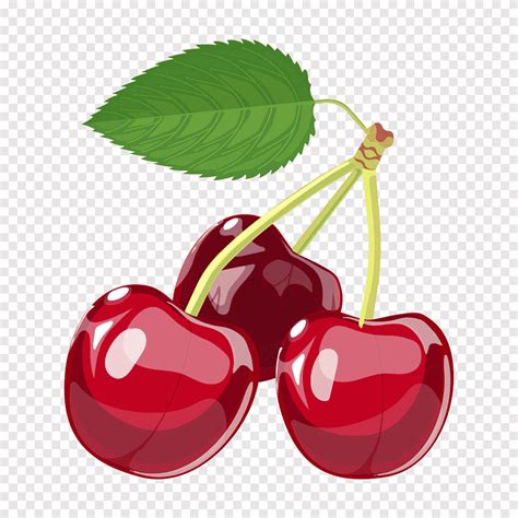 Cherry Berry Cartoon Cartoon Cherry Love Cartoon Character Png Pngegg
