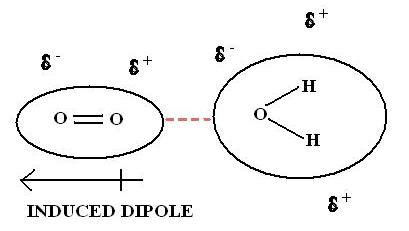 Examples Of Dipole Dipole Bonds