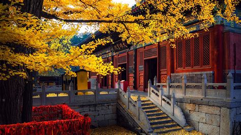 Best Places To See Amazing Fall Colors In Beijing Cgtn