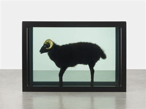 Damien Hirst Black Sheep With Golden Horns 2009 Available For Sale