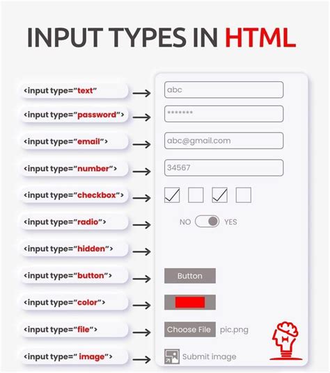 Input Types In Html 👌 Theta Computer Science Programming Learn