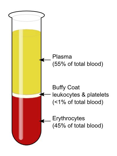 Components Of The Blood Boundless Biology