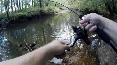 Sunday Creek Fishing For Panfish Youtube