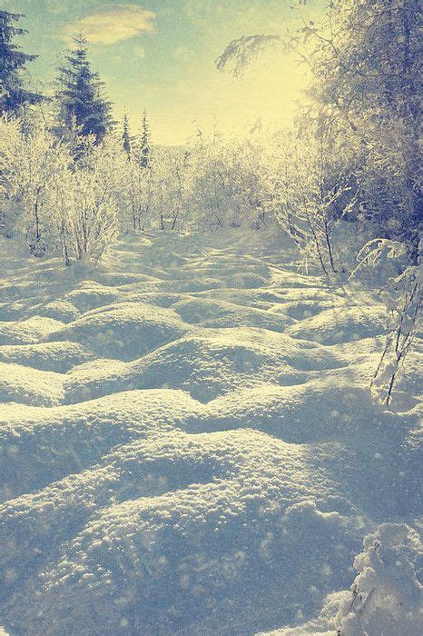 Snowy Meadow By Dagny Willis Snowy Meadow Sunrise Sunset