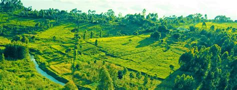 Mountain Biking in Gatanga