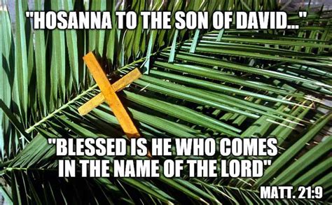 31 Hilarious Palm Sunday Memes To Laugh At This Weekend 2022