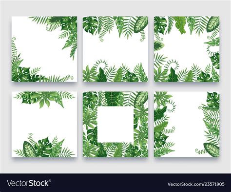 Exotic Leaves Frame Tropical Leaf Border Nature Vector Image