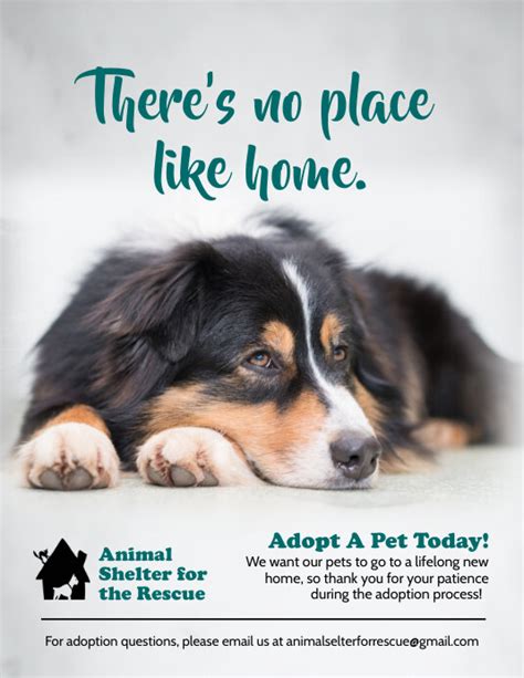 Pet Adoption Awareness Poster Template Postermywall
