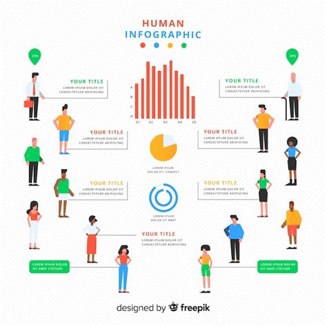 Free Vector Human Infographic