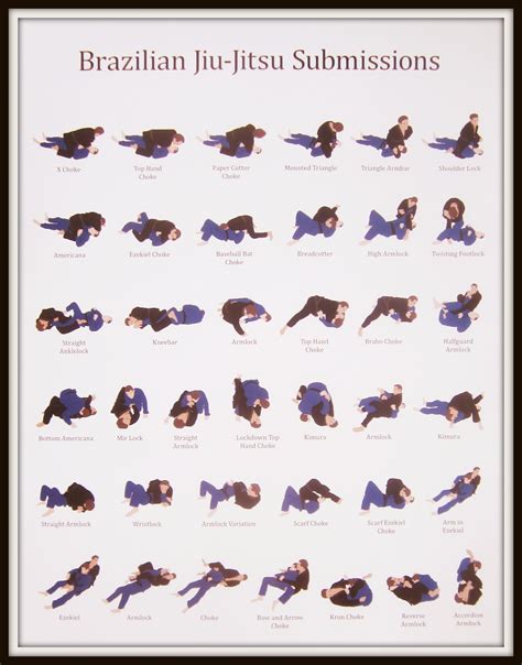 Brazilian Martial Arts Types Chart Mia Art