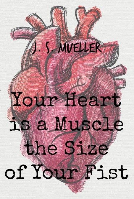 Fist Muscle Heart Muscles Hearts