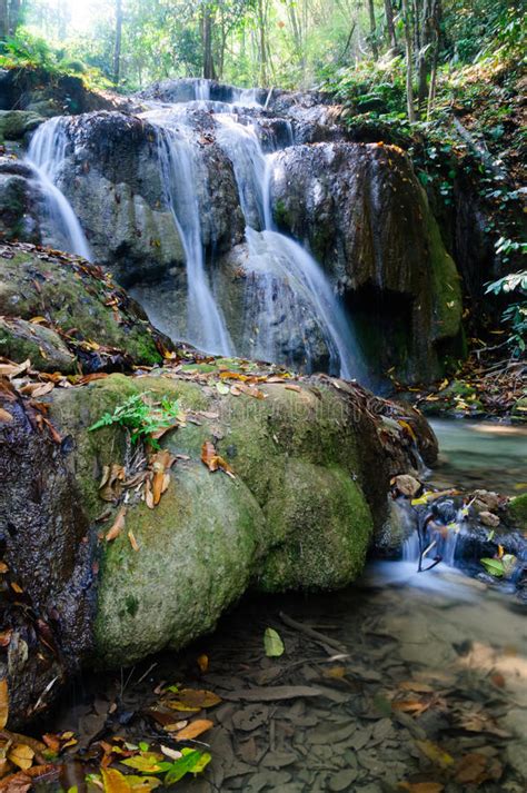 Phu Kaeng Waterfall In Deep Forest In Thailand Stock Image Image Of
