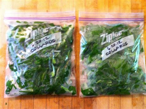 Add the mustard greens to a wire basket and place in the water to blanch for two minutes. Harvesting and Preserving Garden Greens | Turnip greens ...