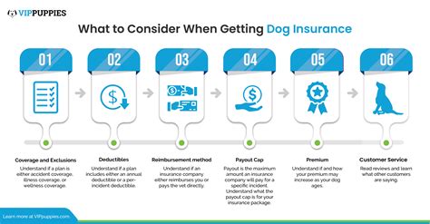 Check spelling or type a new query. Is Dog Insurance Worth It? | VIP Puppies