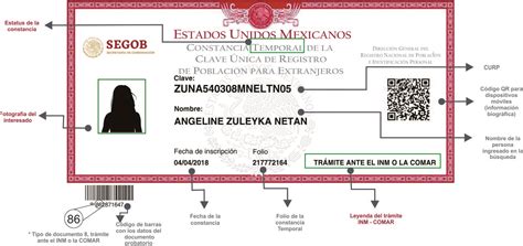 ¿sabías Que Si Eres Una Persona Extranjera Y Te Encuentras En México