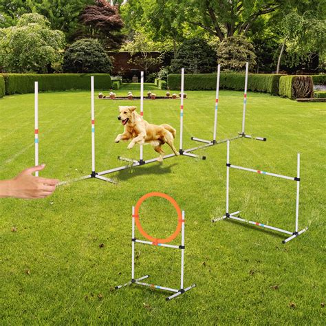 PawHut Portable Pet Agility Pet Training Set Dog Obstacle Exercise ...