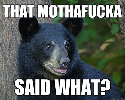 19 Hilarious Black Bear Meme That Make You Smile Memesboy