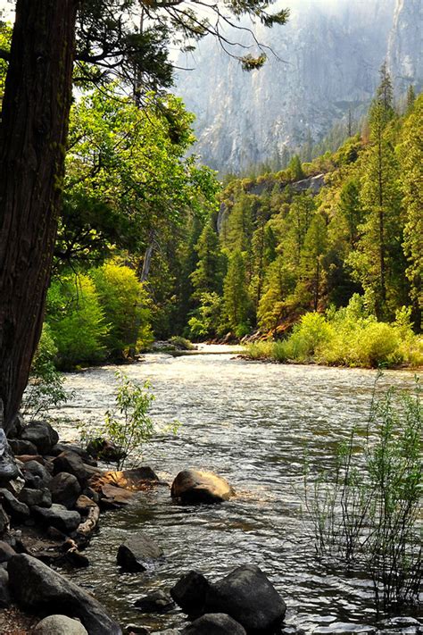 Forest River Iphone Wallpaper Download Ipad Wallpapers ＆amp Iphone