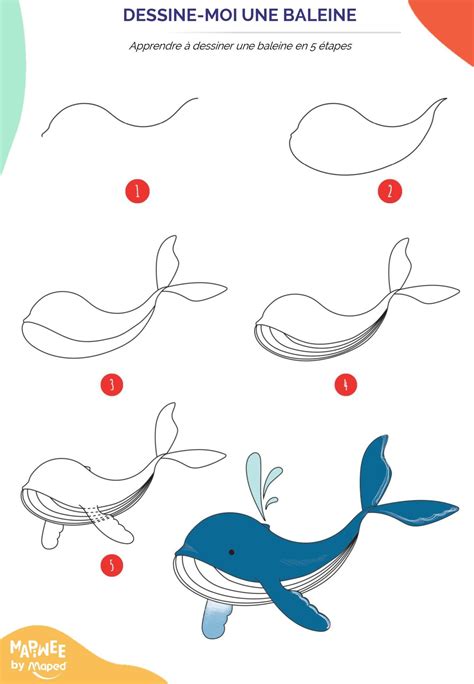 Apprendre à Dessiner Des Animaux Marins En 5 étapes Art Drawings For