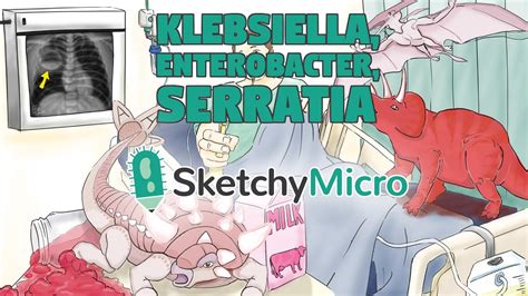 Klebsiella Enterobacter Serratia Sketchymicro For