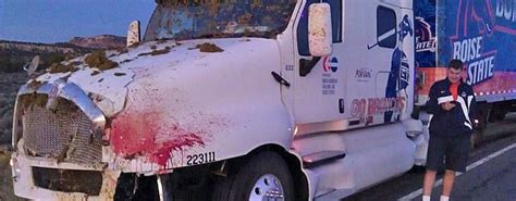 Boise State Truck Hits Cow Open Road Drivers Plan
