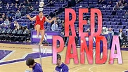 Red Panda Unicycle Acrobat Halftime Show - YouTube