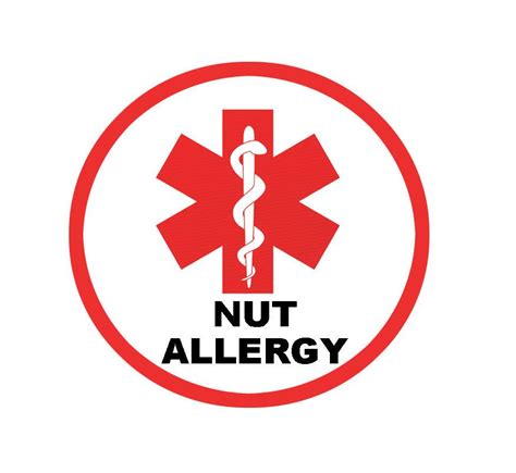12 Nut Allergy Medical Alert Iron On Decals For Shirts Jacket Gym