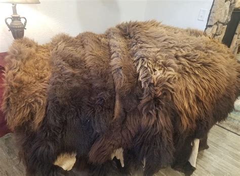 Bison Leather And Hides Suppliers