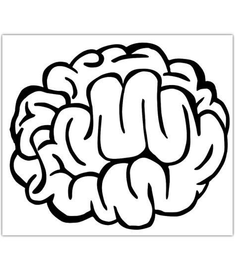 Simple Cartoon Brain Clipart Best