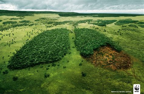The Creative Ad World Wwf Ad Before Its Too Late