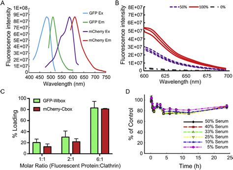 A Mcherry And Gfp Fluorescent Protein Fret Pair Spectral Profiles