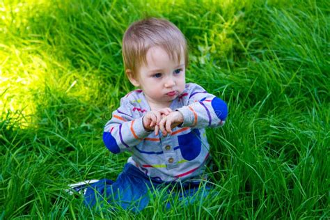 Boy Playing In Grass Stock Image Image Of Young Play 32648905
