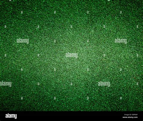 Green Grass Lawn Natural Patterns Background Texture Stock Photo Alamy