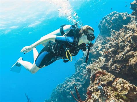 The Ultimate Guide To Diving In Cozumel 2023