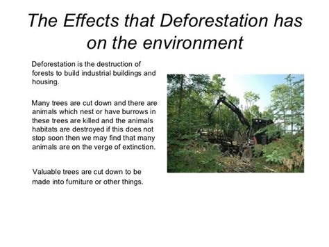 5 Major Causes Of Deforestation