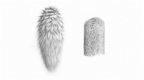 How To Draw Fur