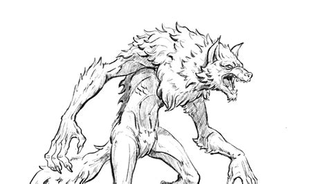 Learn To Draw A Werewolf How To Draw Dogman