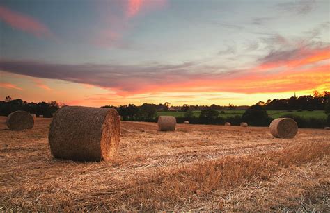 Sunset Over Field Of Hay Bales Photograph By Verity E Milligan Fine