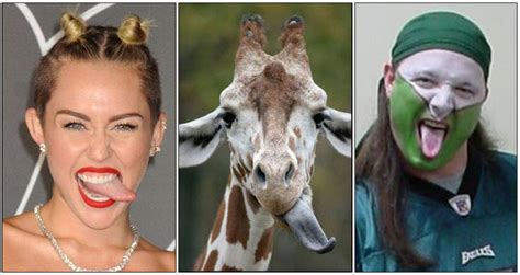 If Miley Cyrus And A Giraffe Had A Baby It Might Look