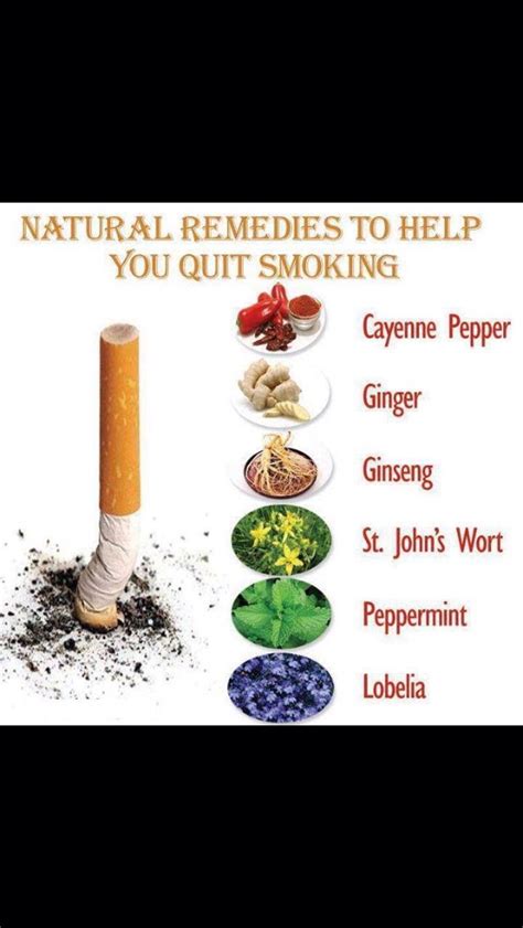 Get Healthy Quit Smoking Musely